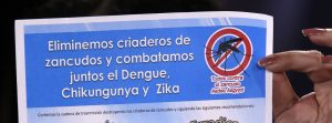 Lees meer over het artikel Wat is het Zikavirus?
